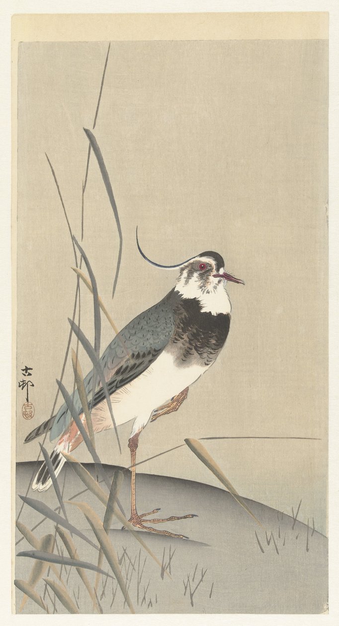Vanneau et roseau - Ohara Koson