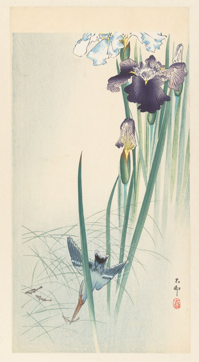 Martin-pêcheur et iris - Ohara Koson