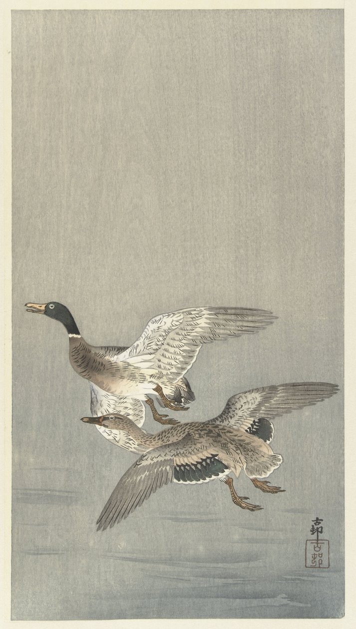 Couple de canards - Ohara Koson