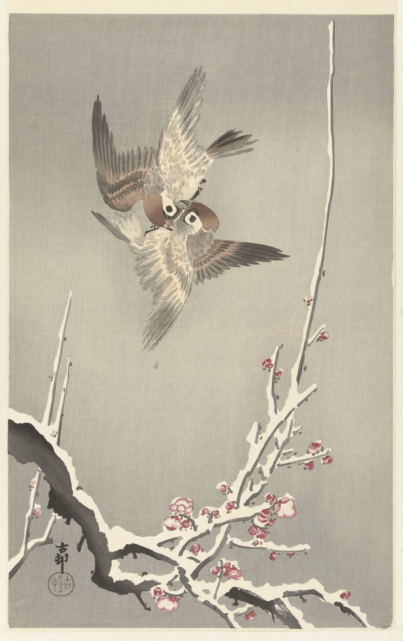 Moineaux et prunier enneigé - Ohara Koson