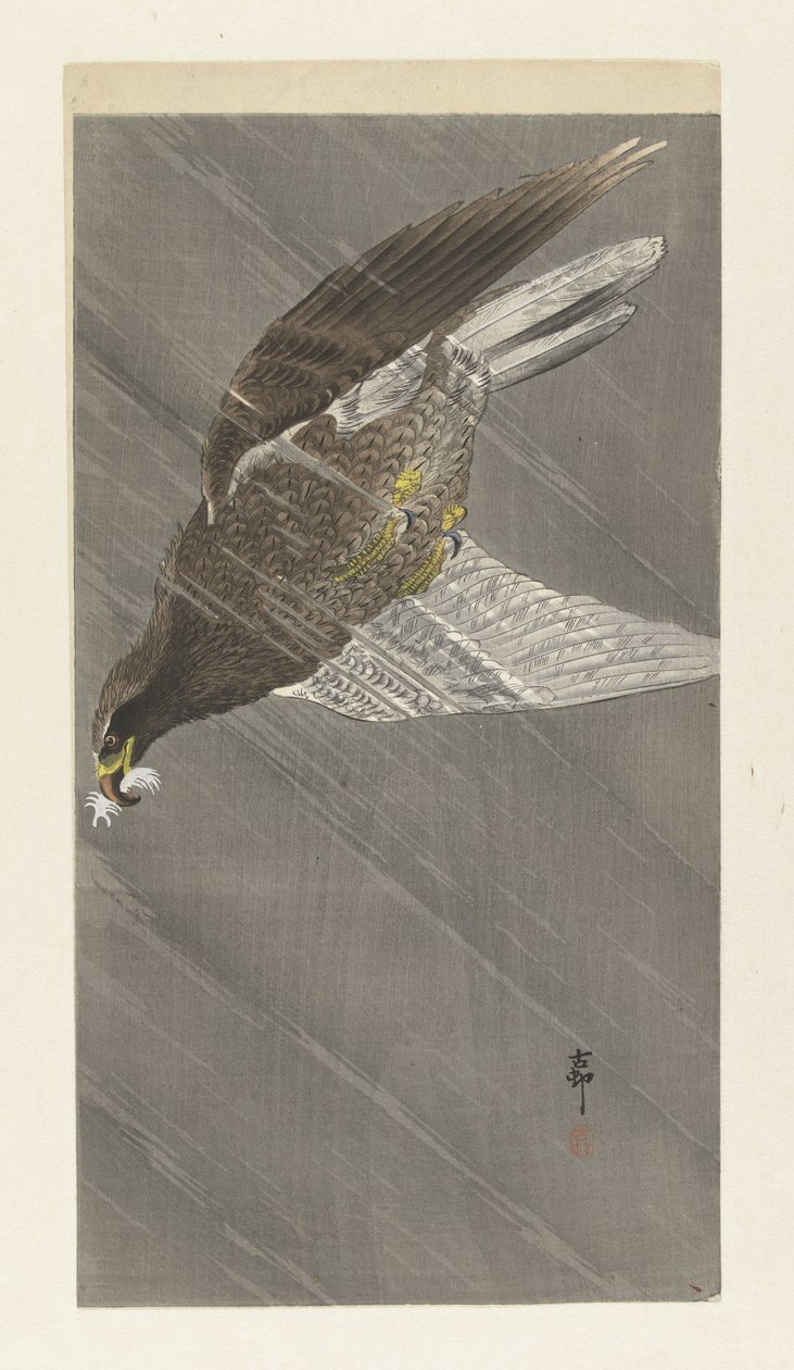 Aigle volant vers le bas - Ohara Koson