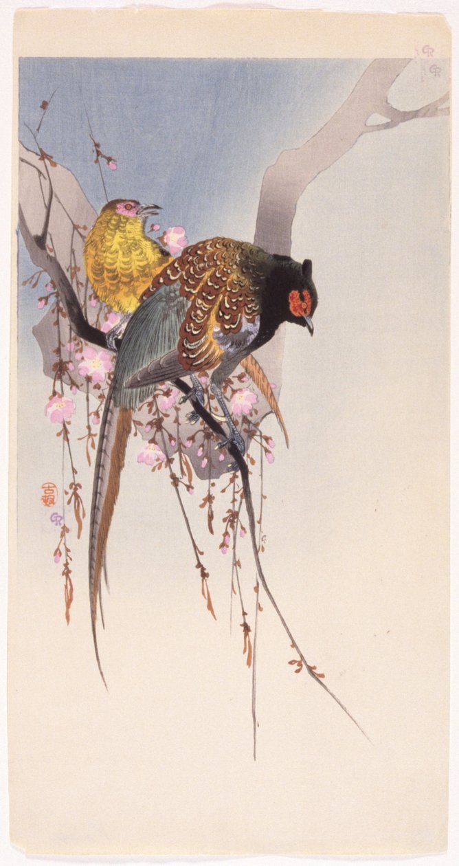 Faisans et cerisier suspendu - Ohara Koson