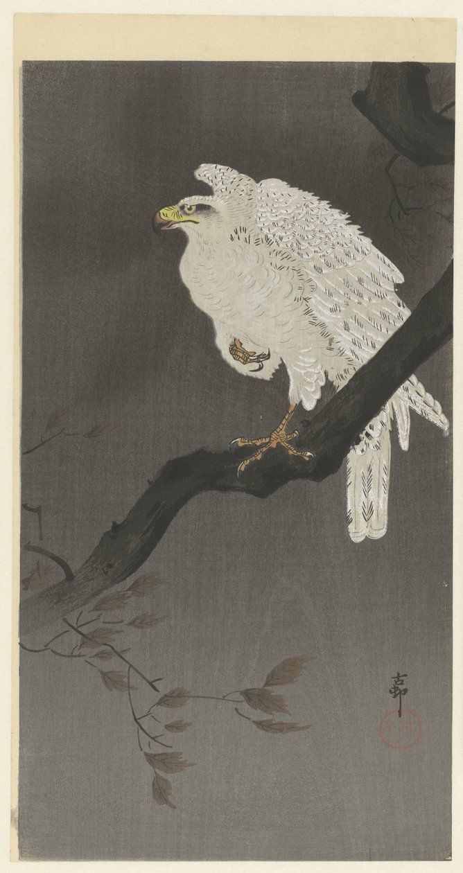 Aigle des neiges sur une branche - Ohara Koson