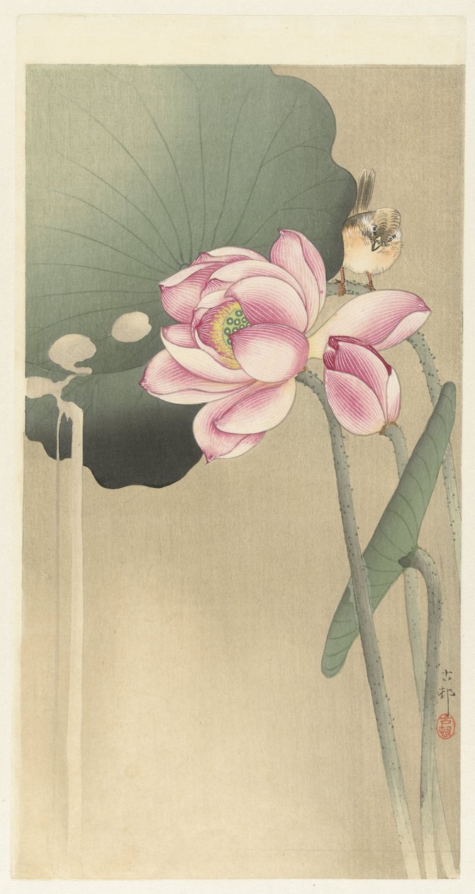 Oiseau chanteur et lotus - Ohara Koson