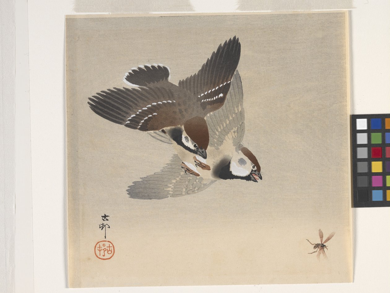 Moineaux chassant un insecte volant - Ohara Koson