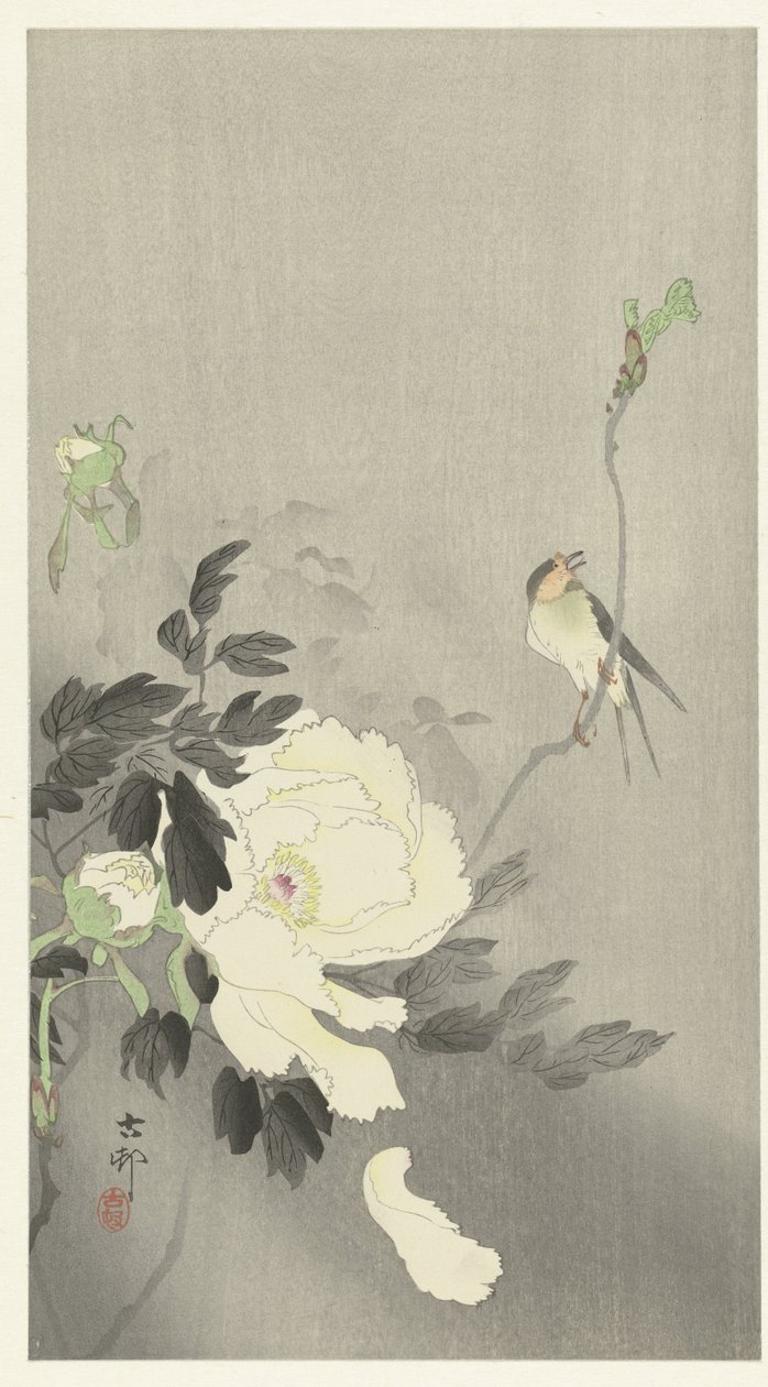 Hirondelle avec pivoine - Ohara Koson