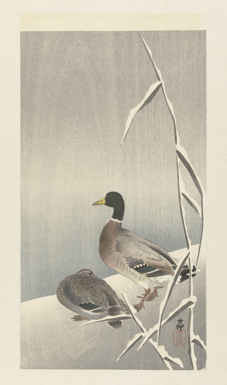 Deux canards sur des roseaux enneigés - Ohara Koson