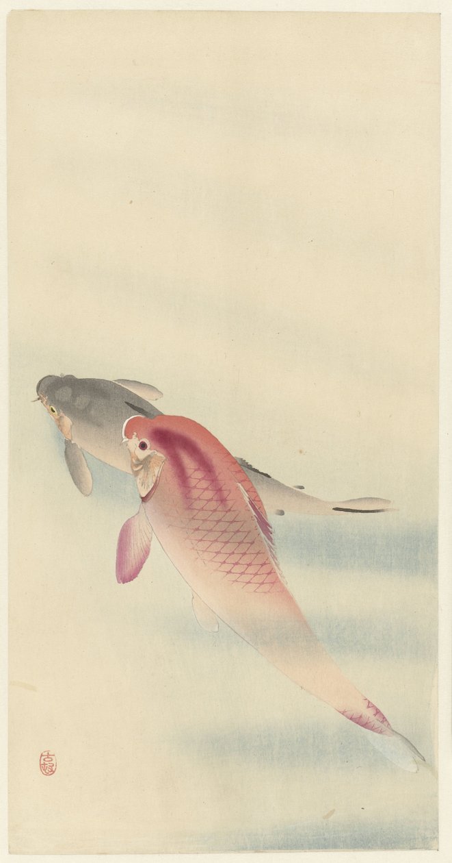 Deux carpes - Ohara Koson