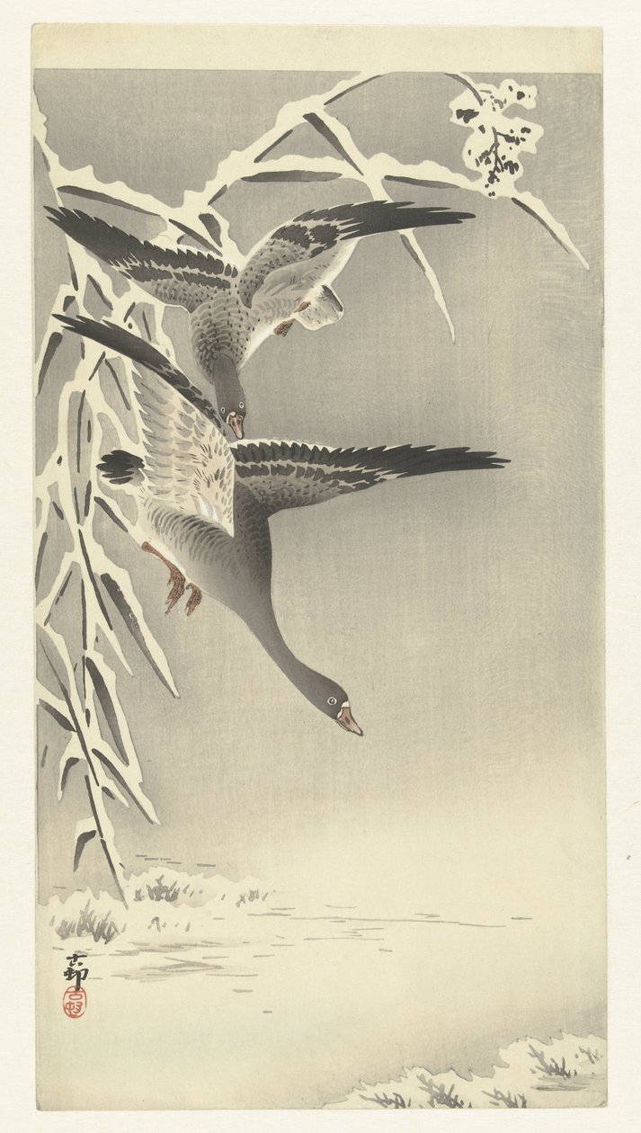 Deux oies des neiges dans un paysage enneigé - Ohara Koson