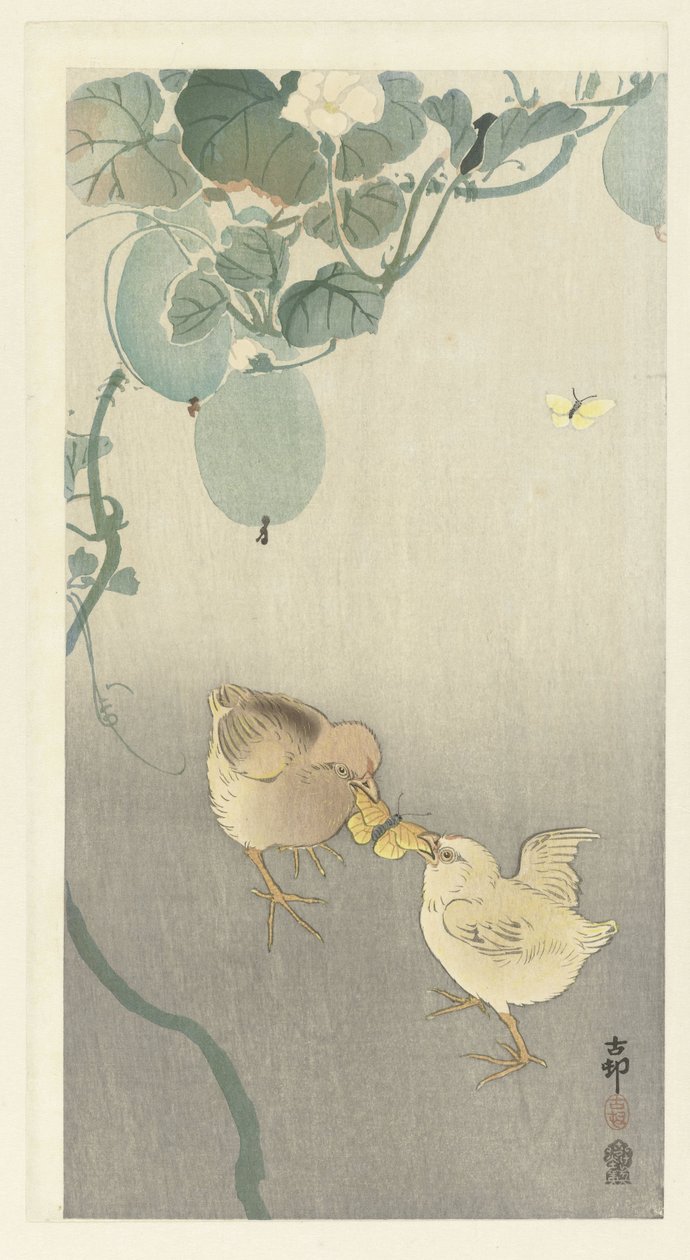 Deux poussins se battant pour un papillon - Ohara Koson