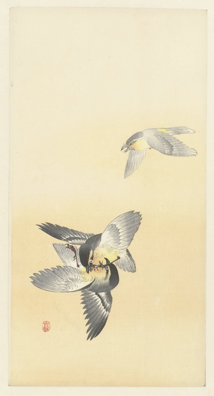 Deux oiseaux se battant - Ohara Koson