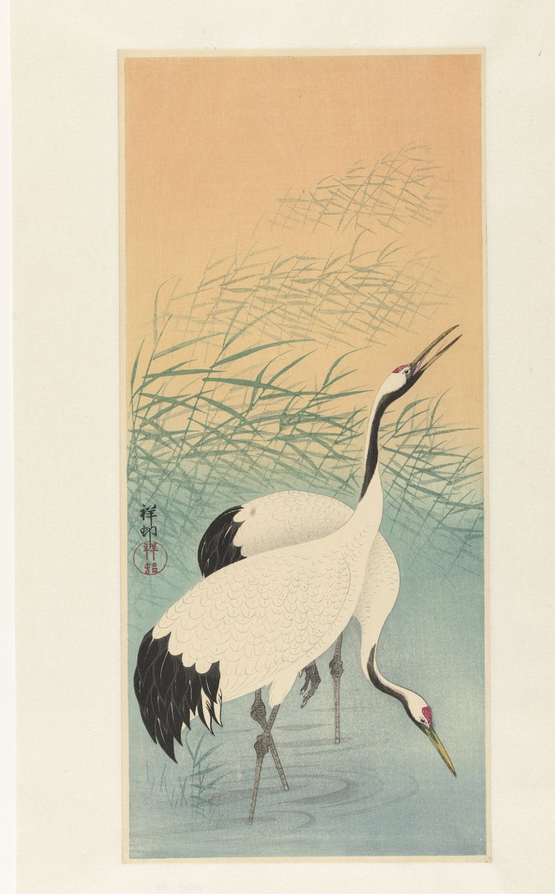Deux grues - Ohara Koson