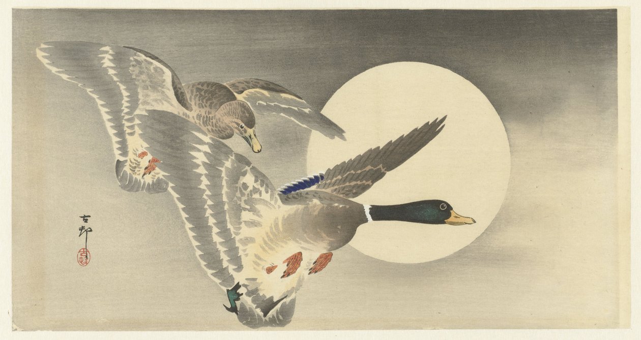 Deux canards avec pleine lune - Ohara Koson