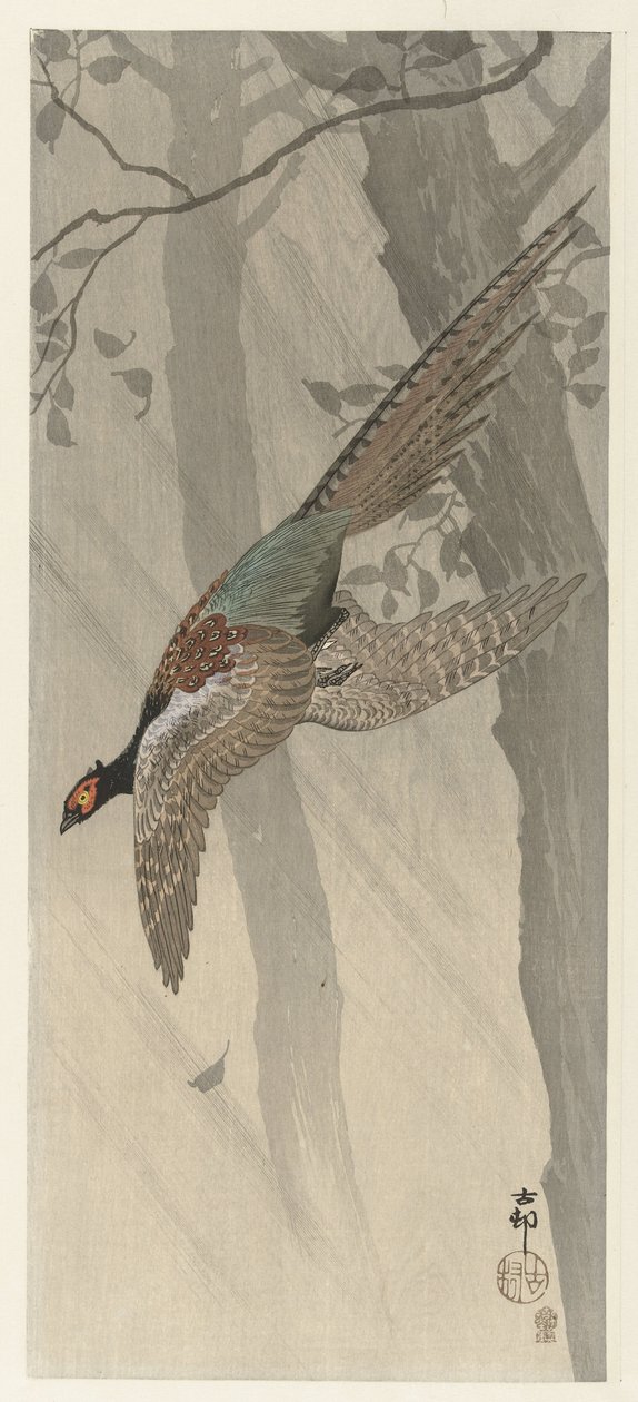 Faisan volant - Ohara Koson