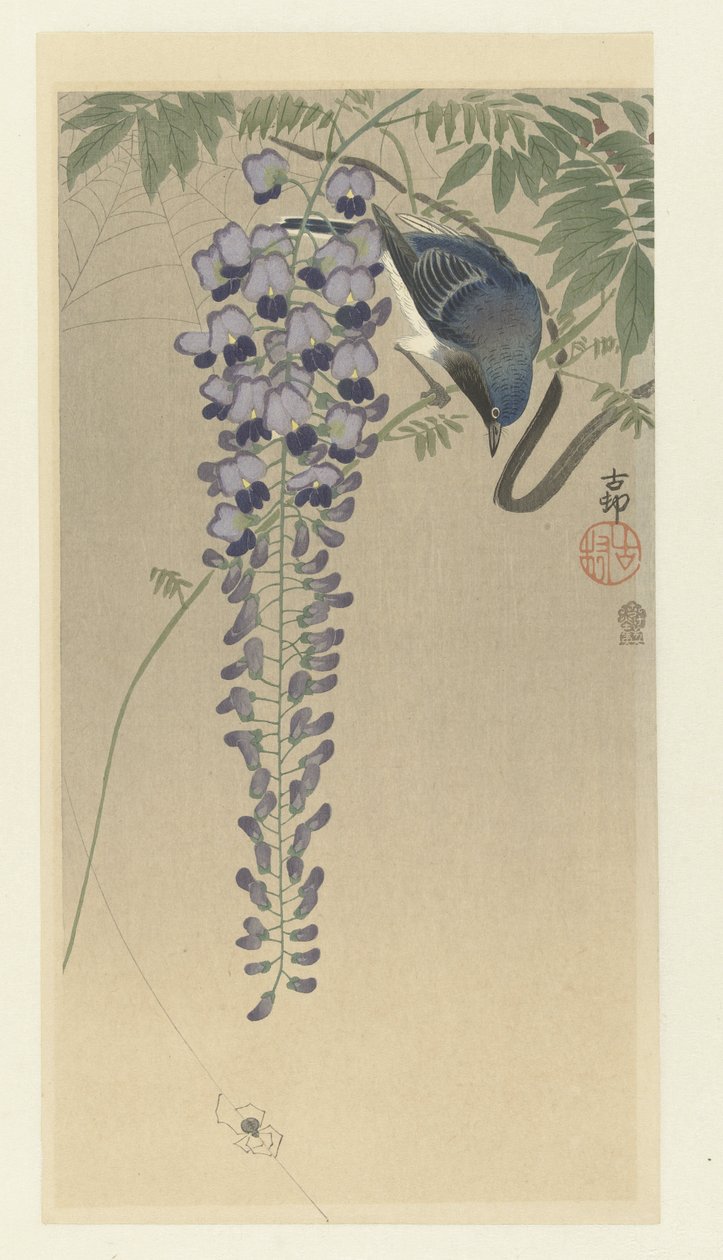 Gobemouche près de glycine - Ohara Koson