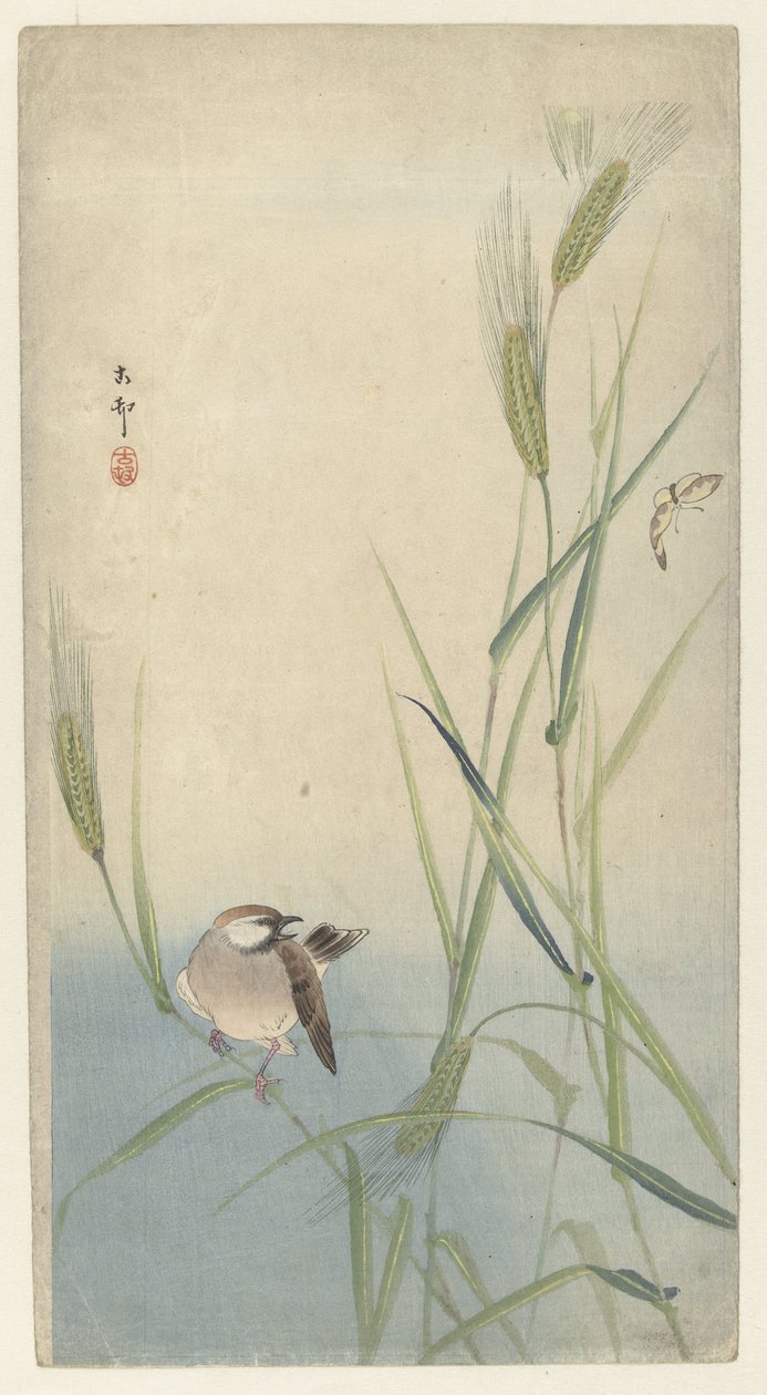 Oiseau et papillon - Ohara Koson