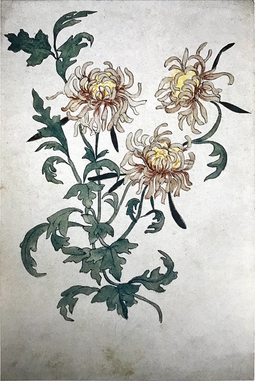 Fleurs - Olga Rozanova