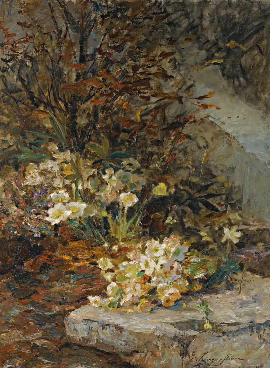 Hellébores - Olga Wisinger Florian