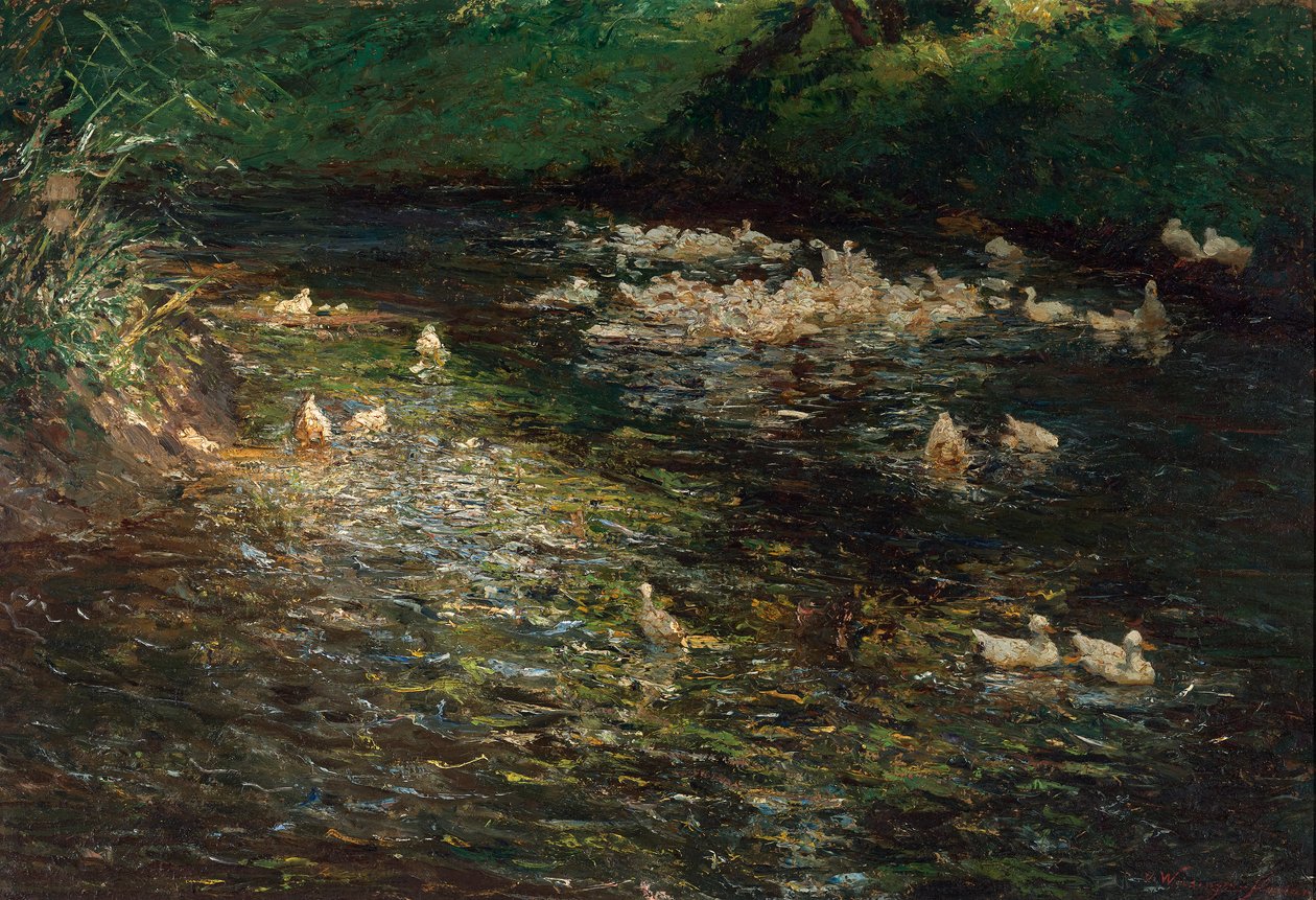 Étang aux canards - Olga Wisinger Florian