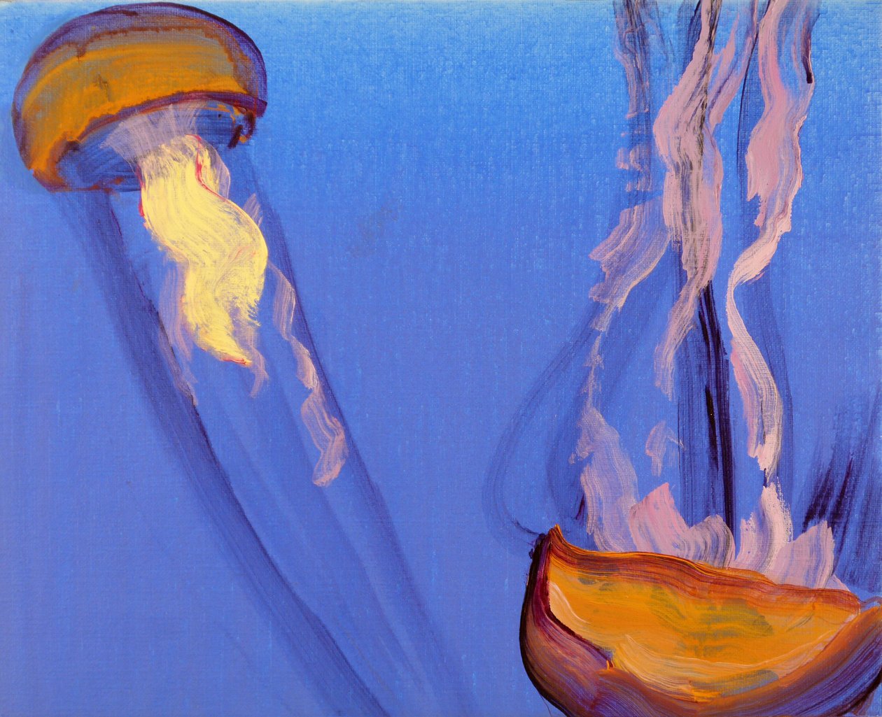 Méduses 7, 2013 (acrylique sur toile) - Olivier Morel