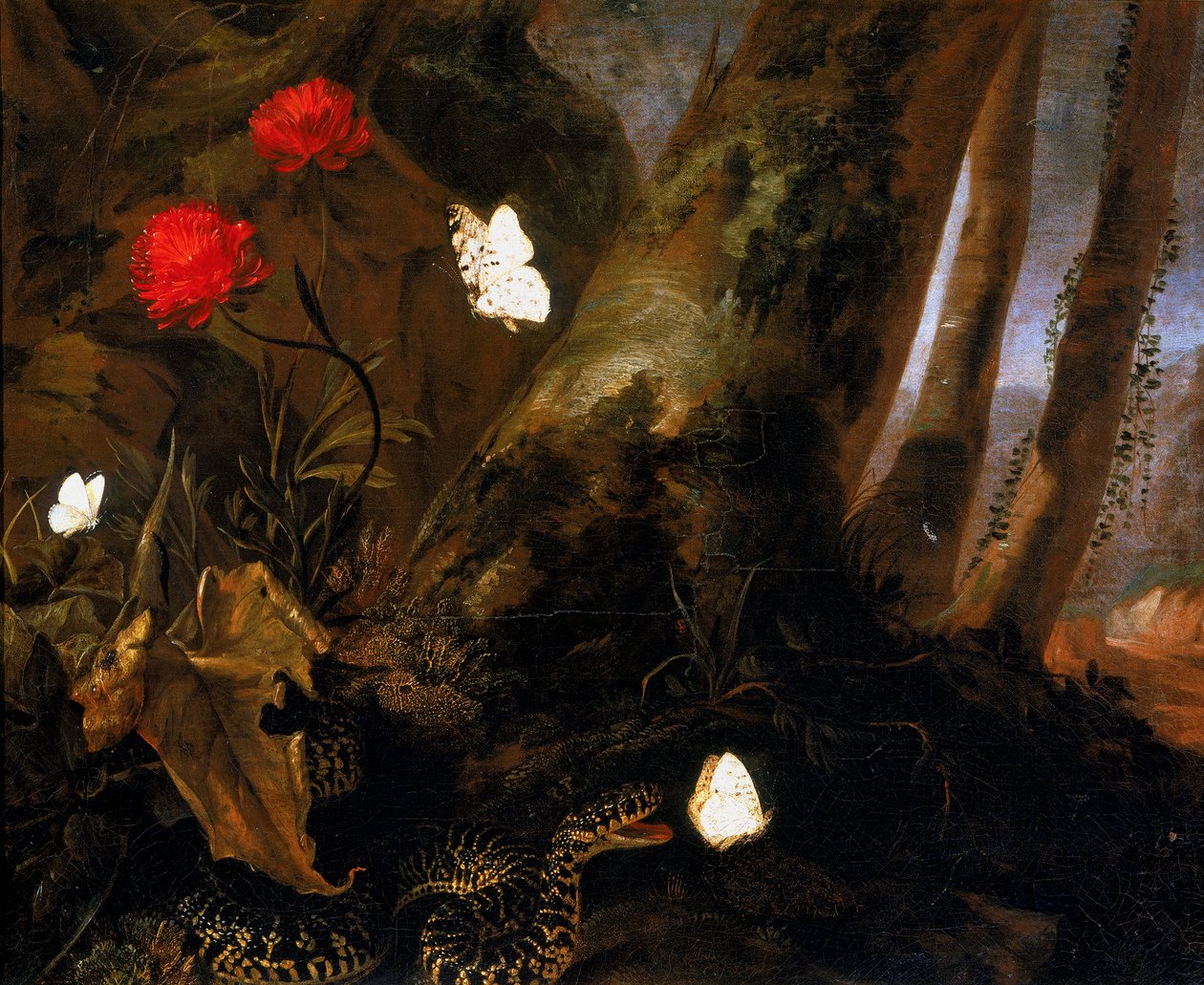 Sous-bois avec des animaux - Otto Marseus  van Schrieck