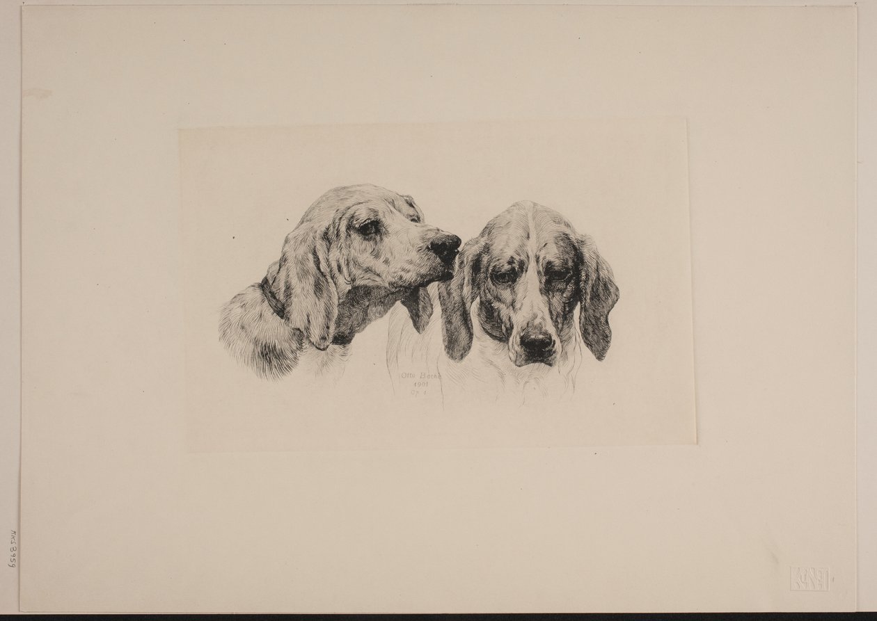 Danois : Deux têtes de chien - Otto Bache