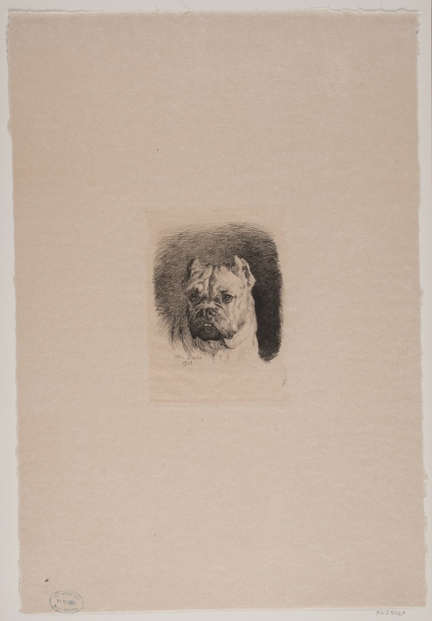 Une tête de chien - Otto Bache