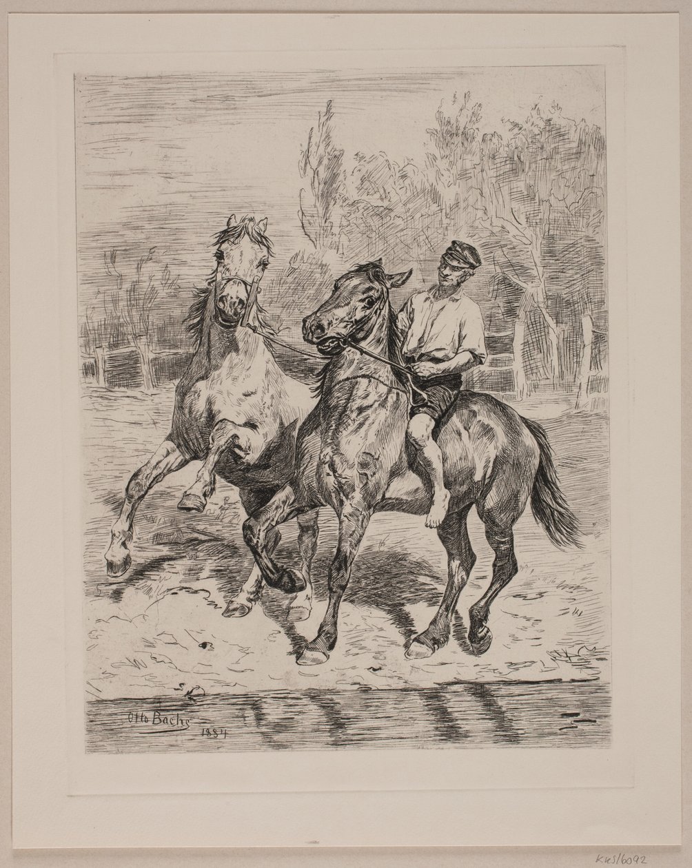 Les chevaux sont arrosés - Otto Bache