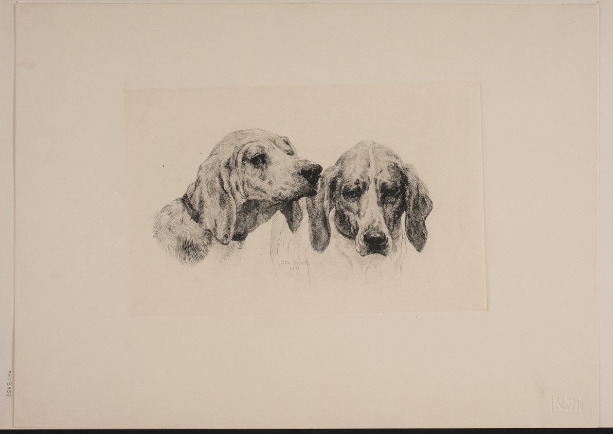 Deux têtes de chien - Otto Bache