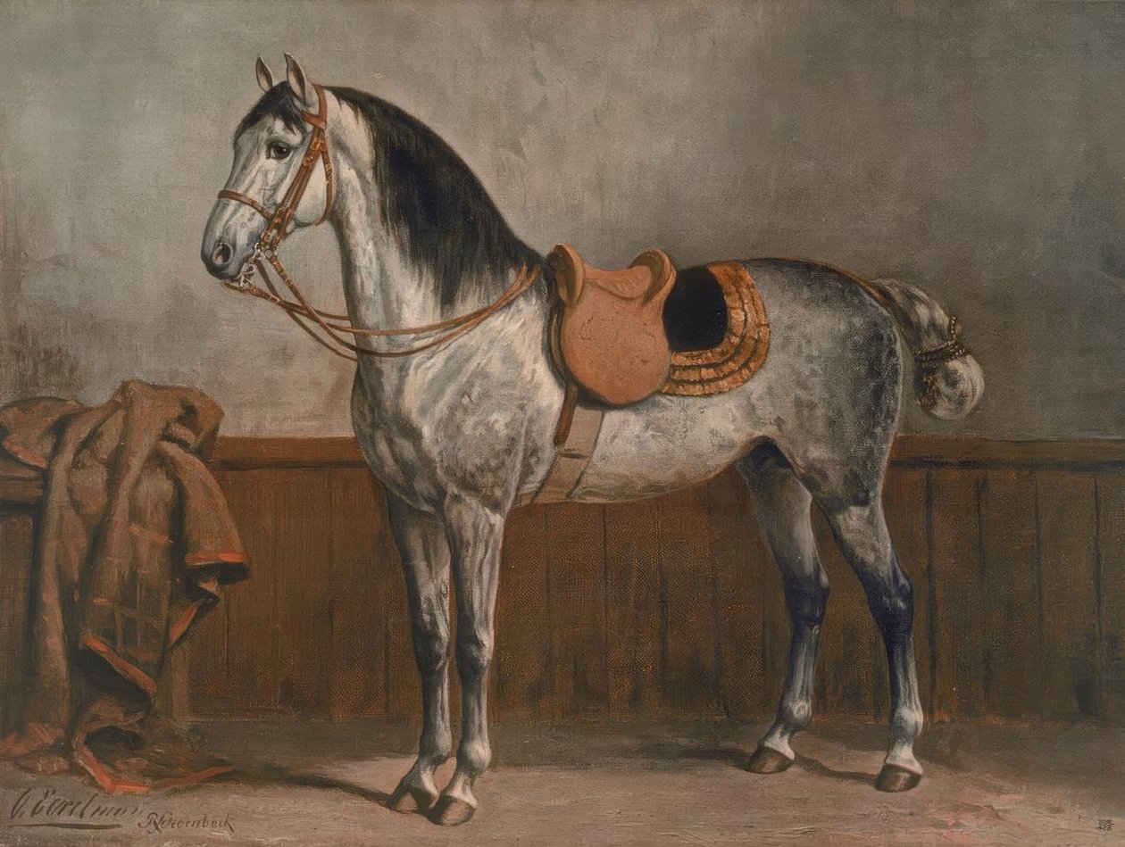 Lipizzan - Otto Eerelman