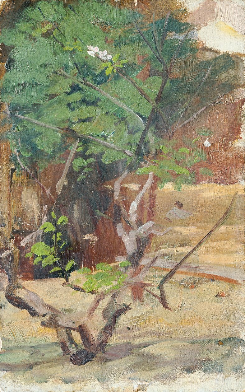 Jeune arbre ramifié avec deux fleurs - Otto Friedrich