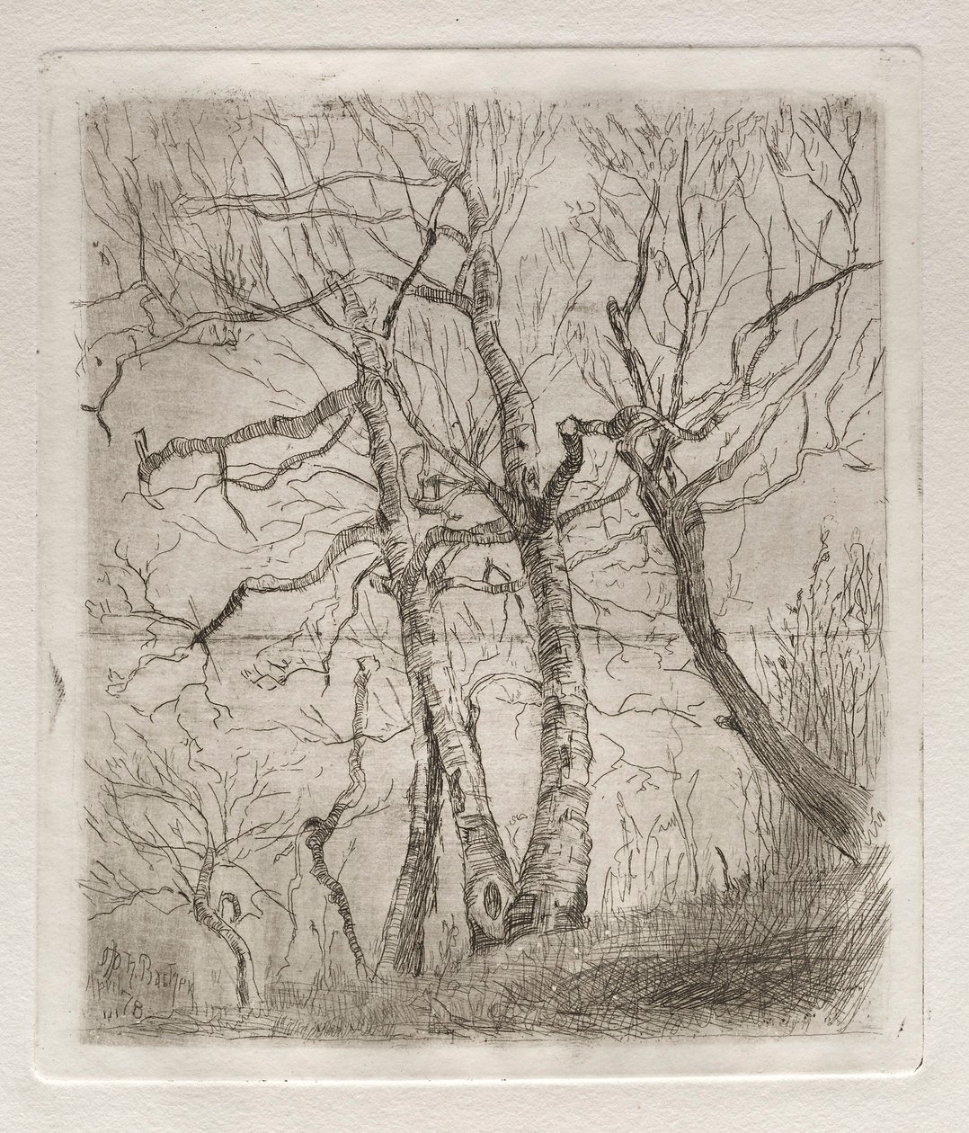 Arbres - Otto H. Bacher