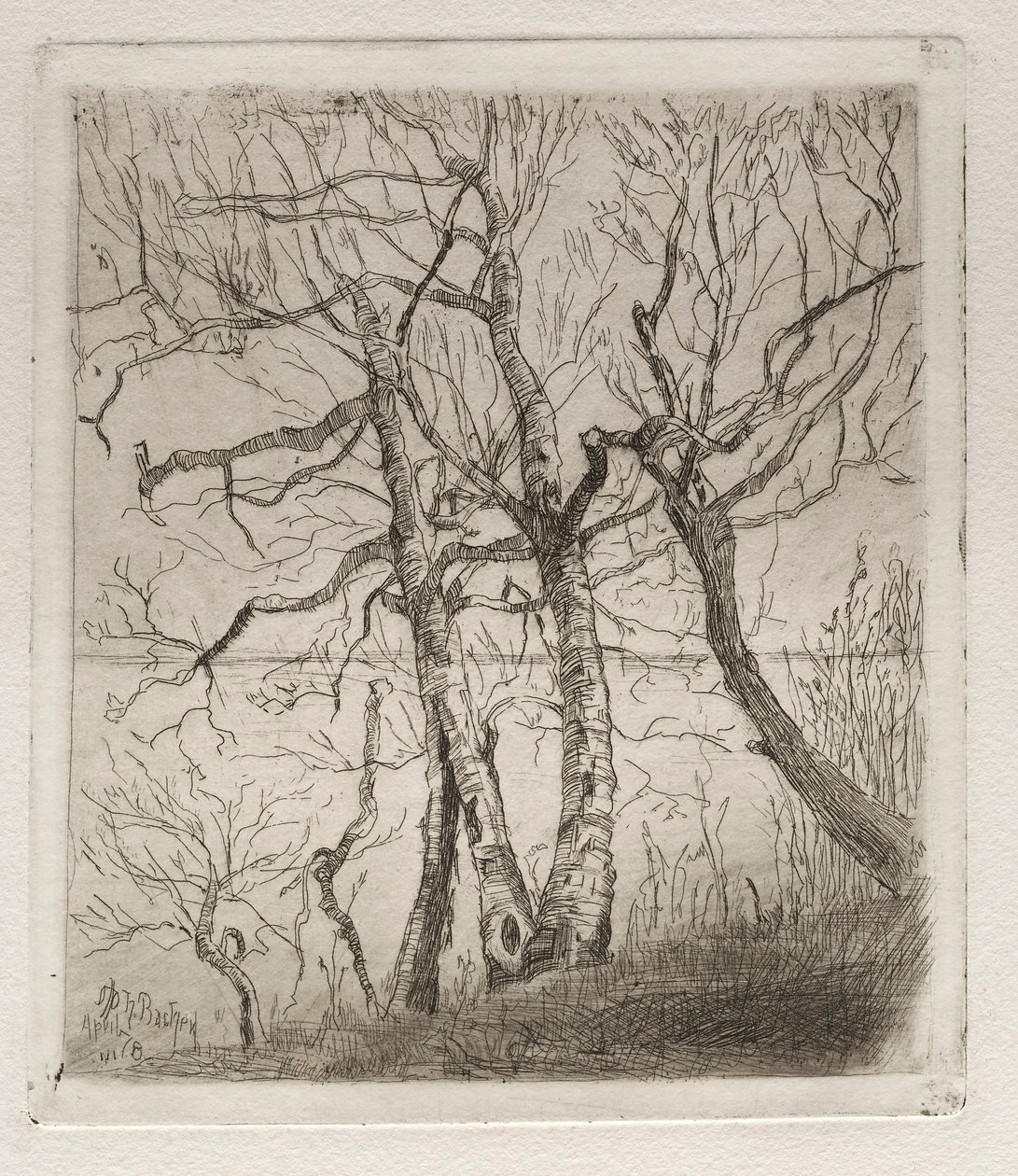 Bois près du lac, 1878 - Otto H. Bacher