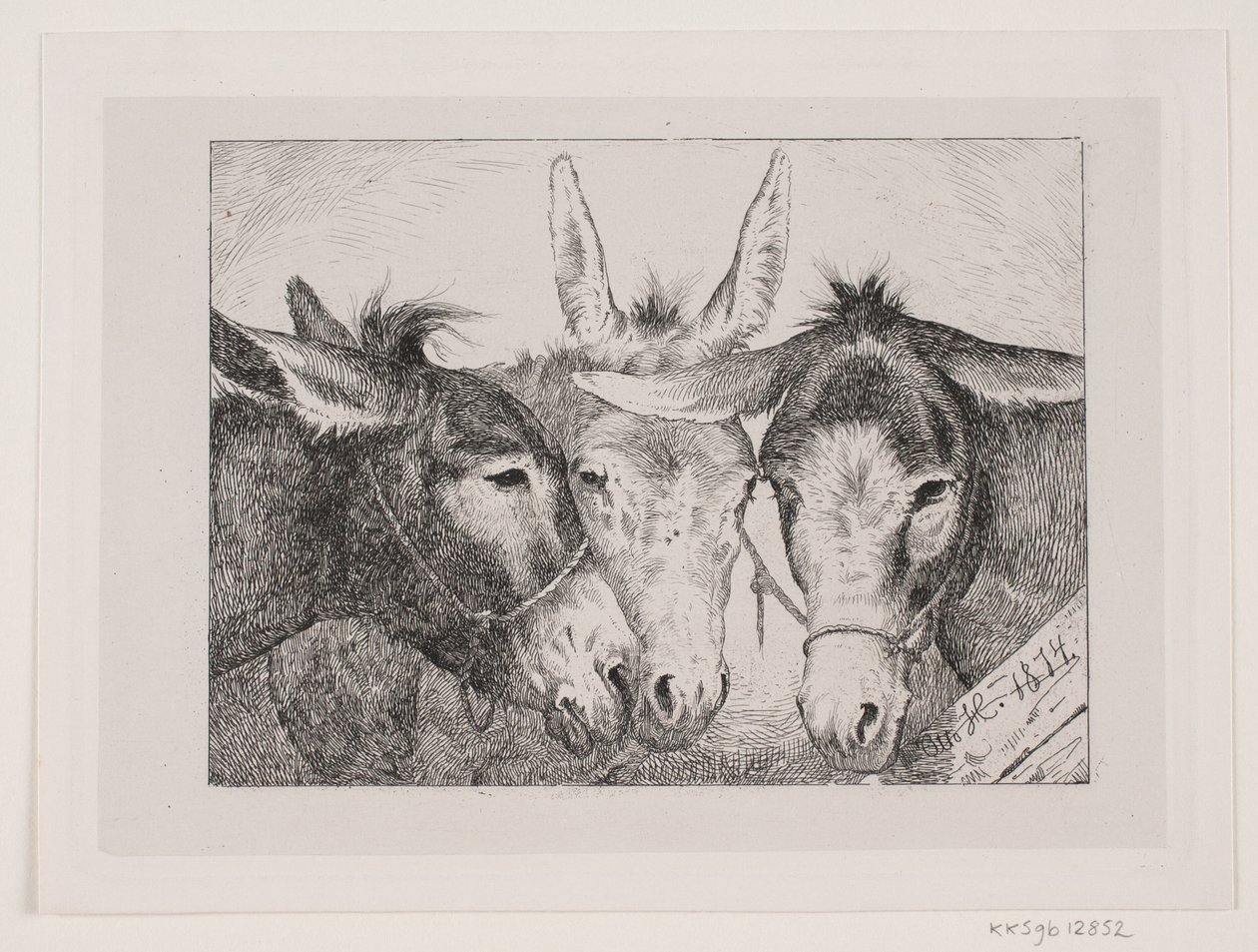 Trois têtes d