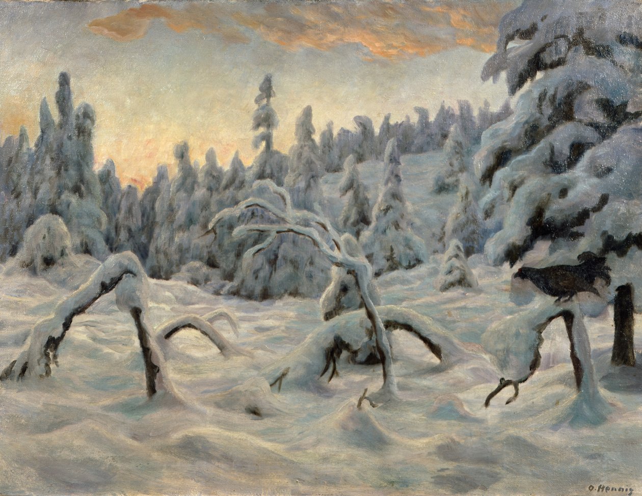 Forêt d
