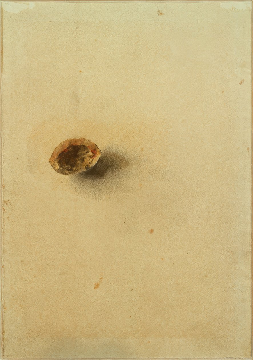 Coquille de noix - Otto Meyer Amden