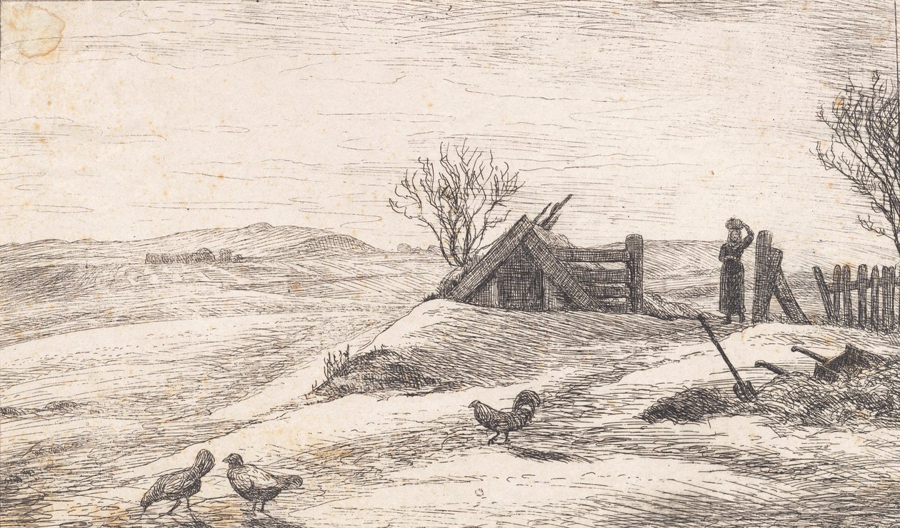 Paysage d