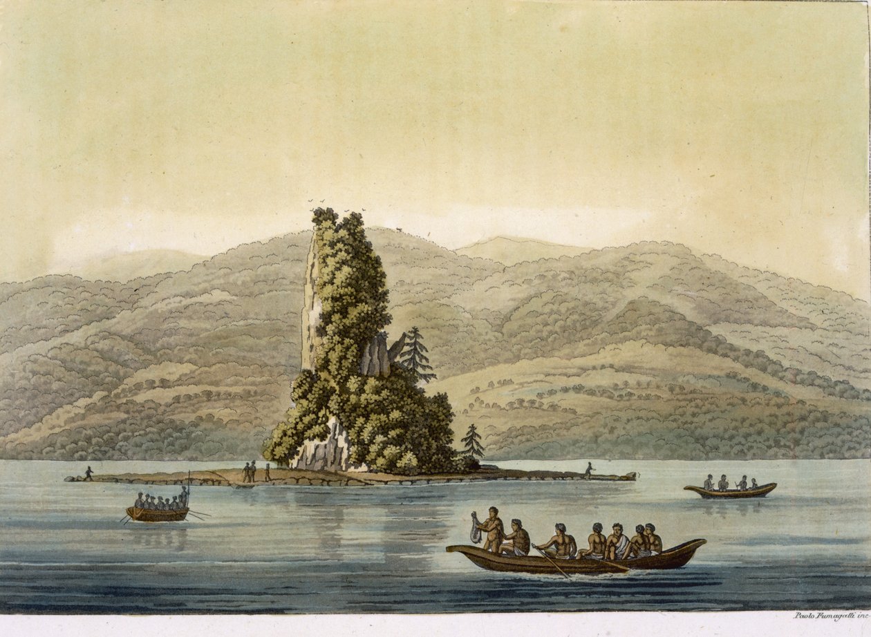 Nouvelle-Norfolk près de Vancouver - Paolo Fumagalli