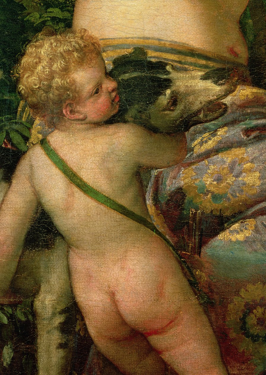 Cupidon, détail de Vénus et Adonis (détail) - Paolo Veronese