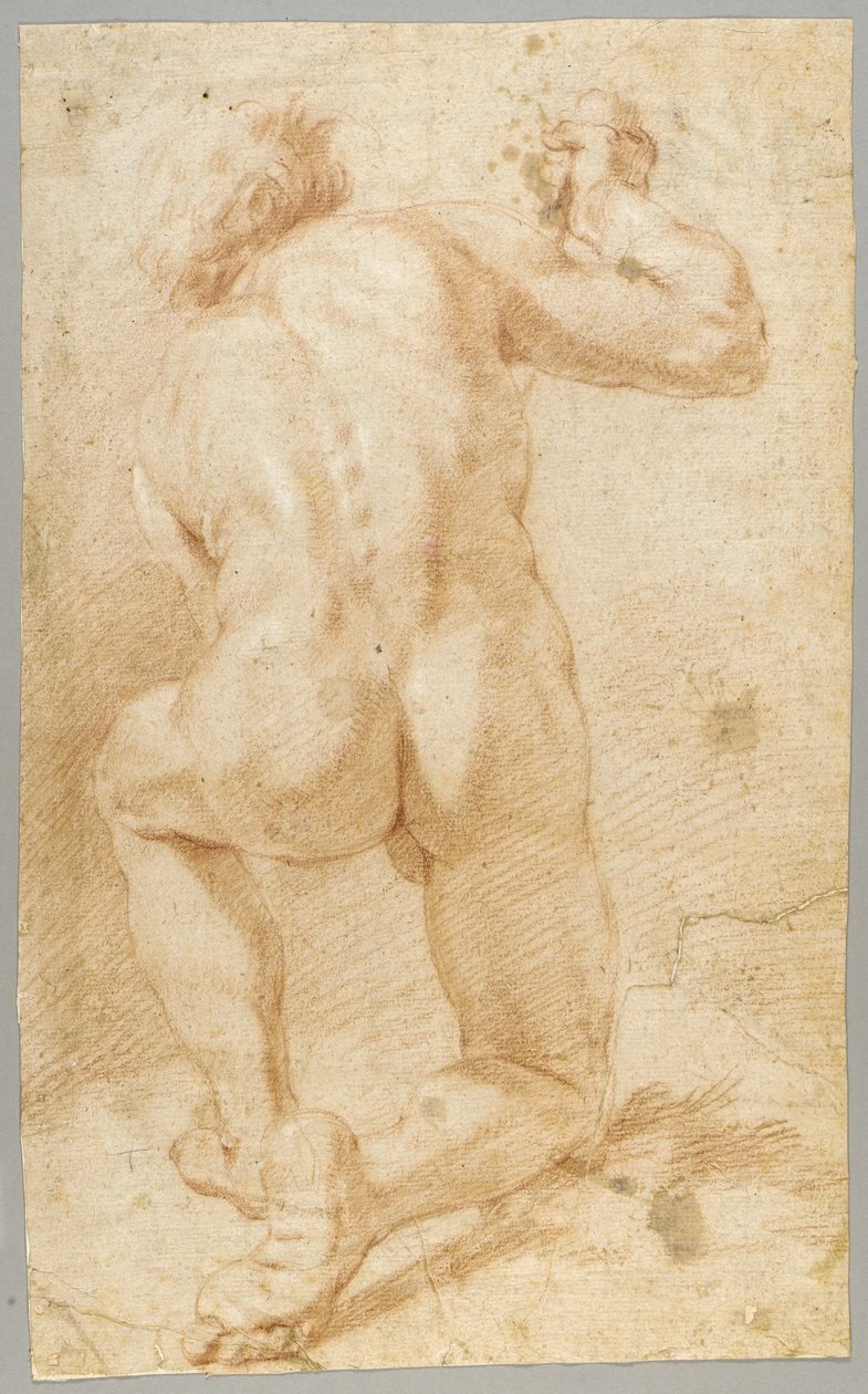 Dessin - Paolo de Matteis