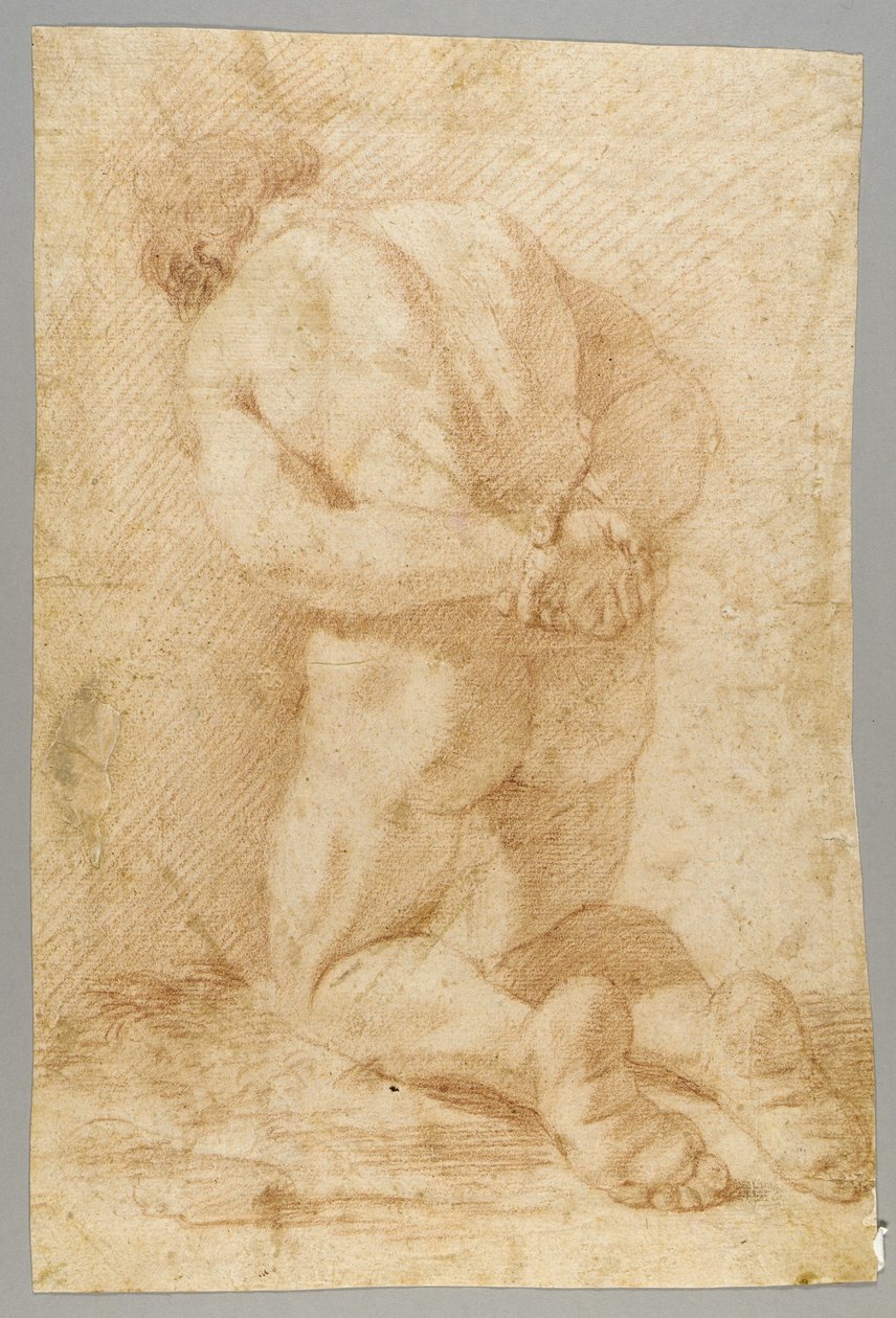 Dessin - Paolo de Matteis