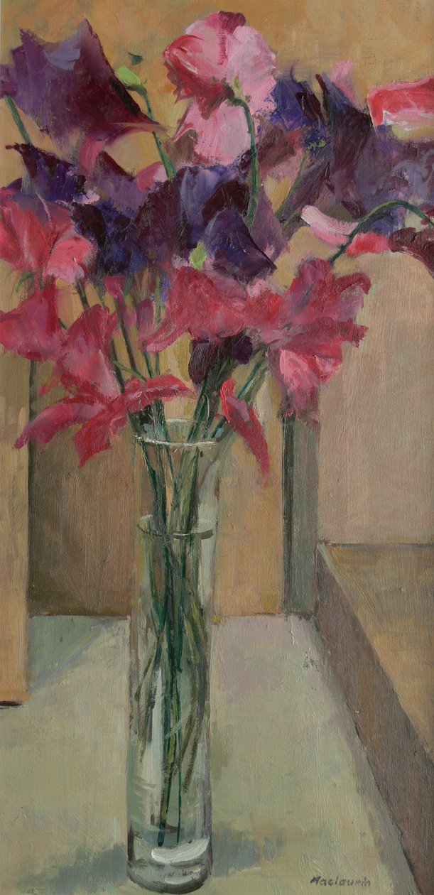 Pois de senteur, 2008 - Pat Maclaurin