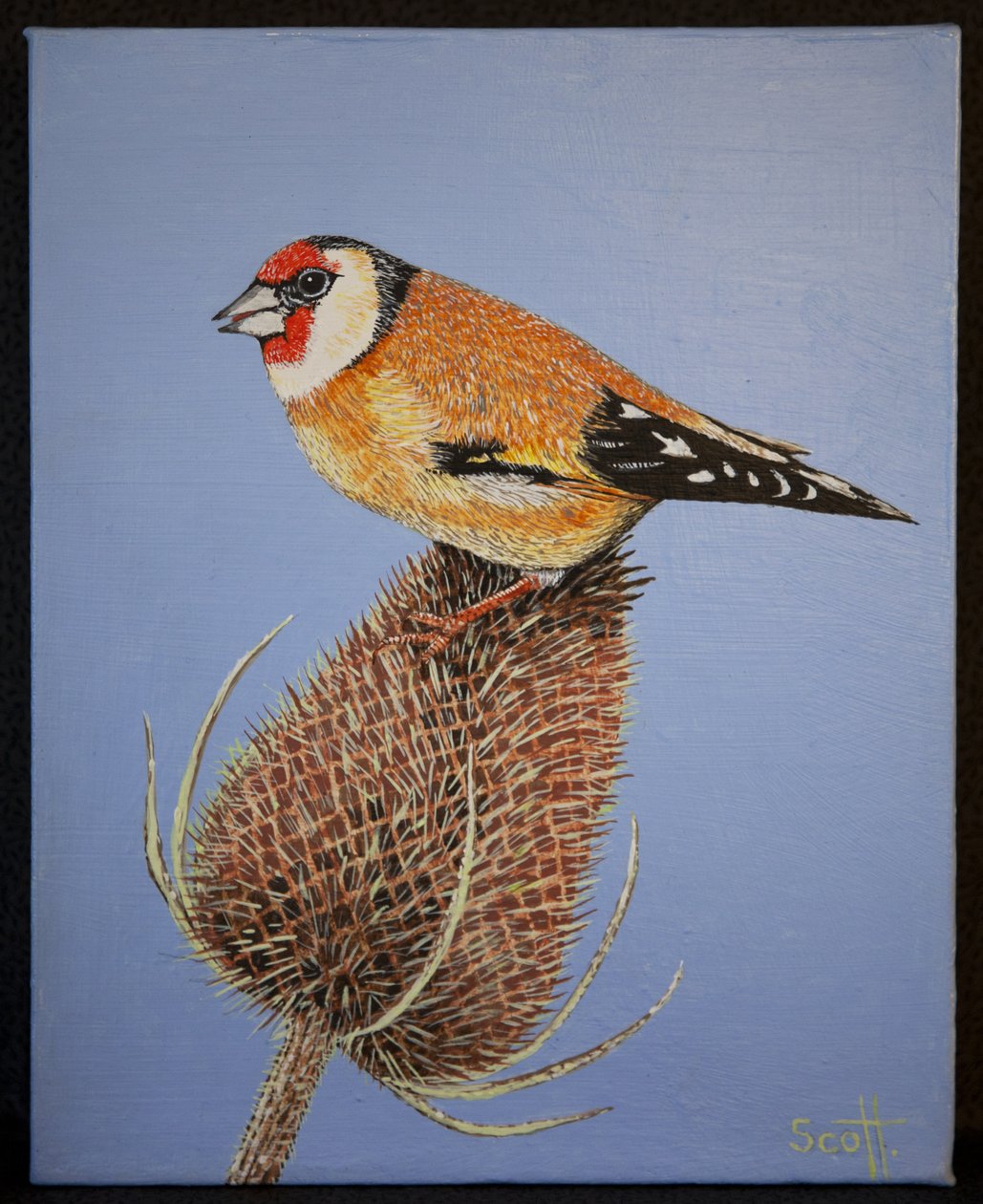 Chardonneret, 2016 - Pat Scott