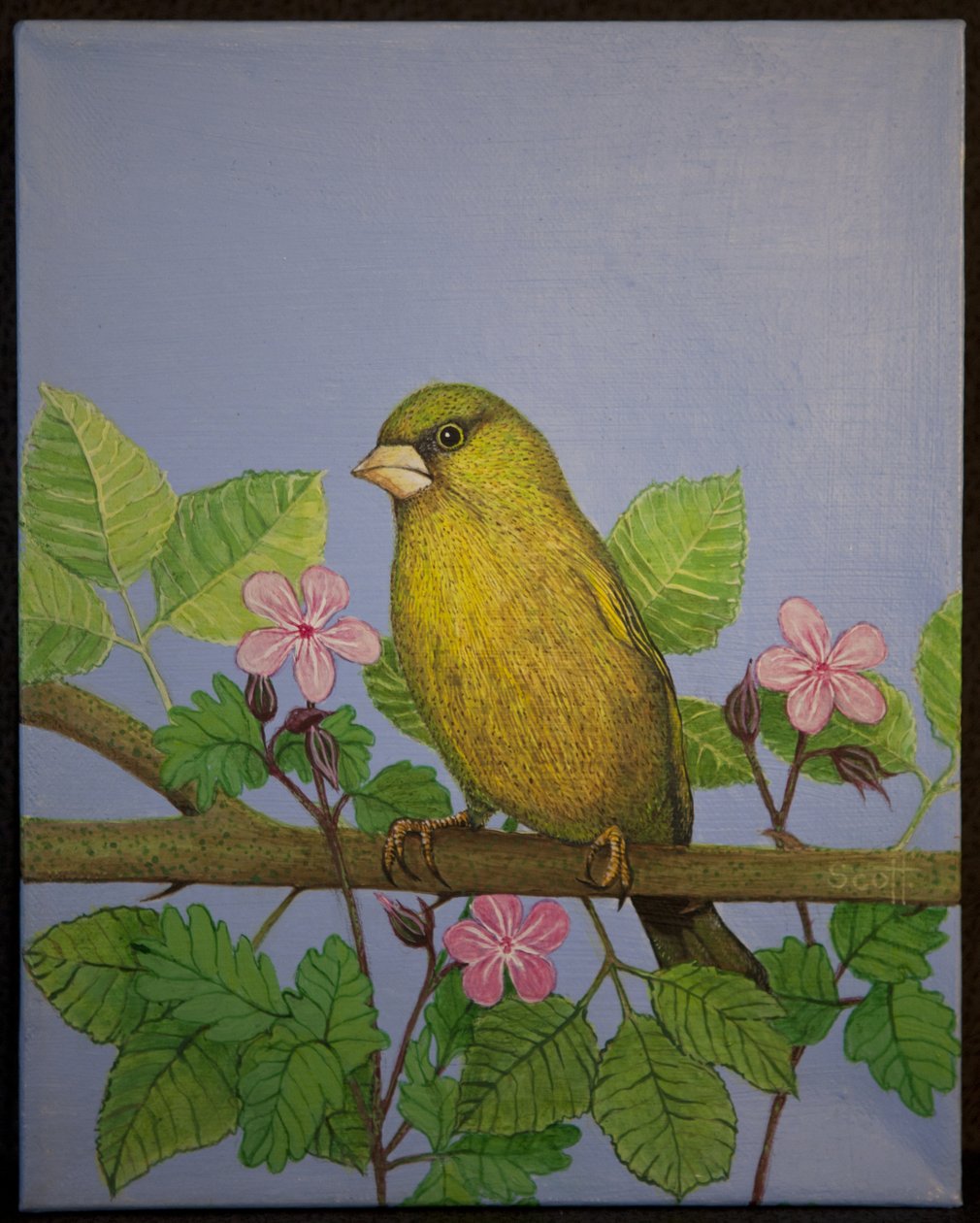 Verdier, 2016 - Pat Scott