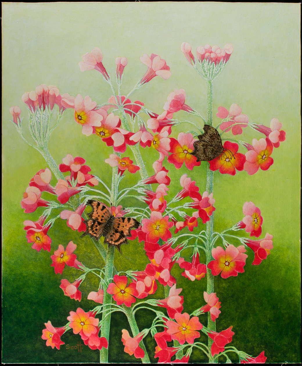 En rose, 2011 (acrylique sur calicot) - Pat Scott