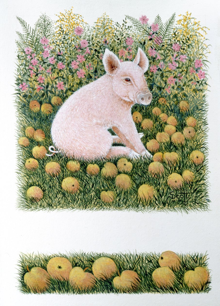 Une pomme de plus (huile sur toile) - Pat Scott