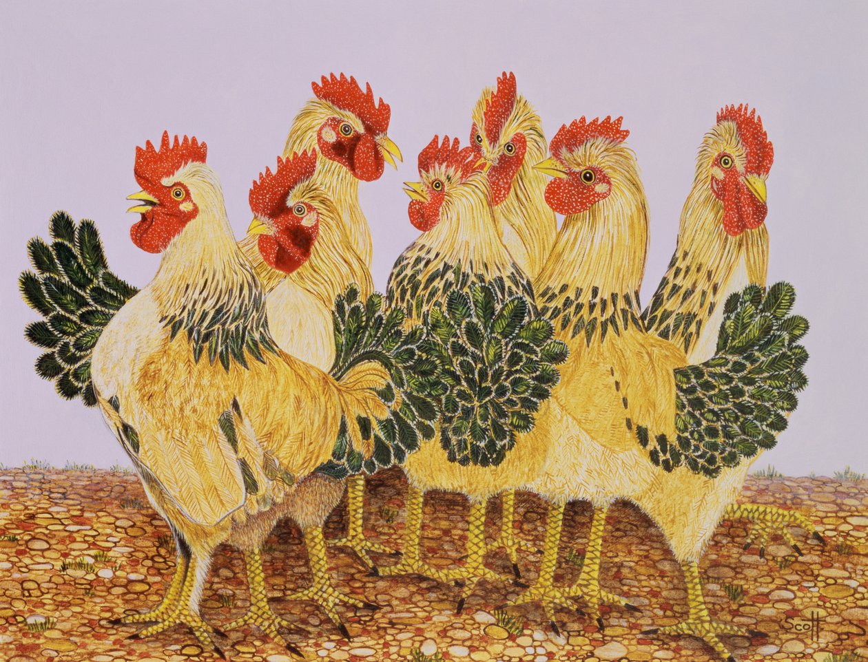 Strutters Ballet - Pat Scott