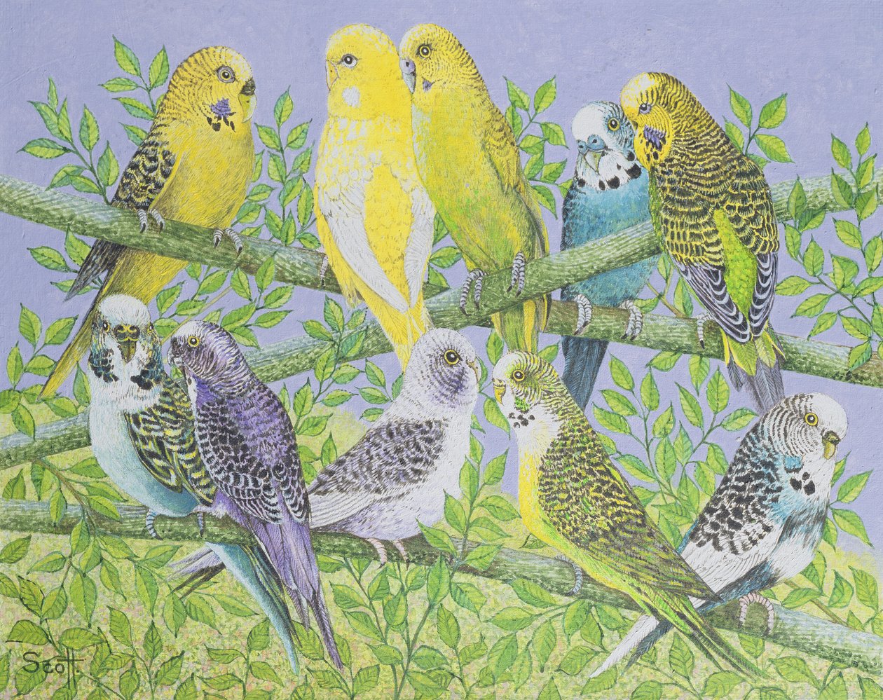 Sweet Talking (acrylique sur toile) - Pat Scott