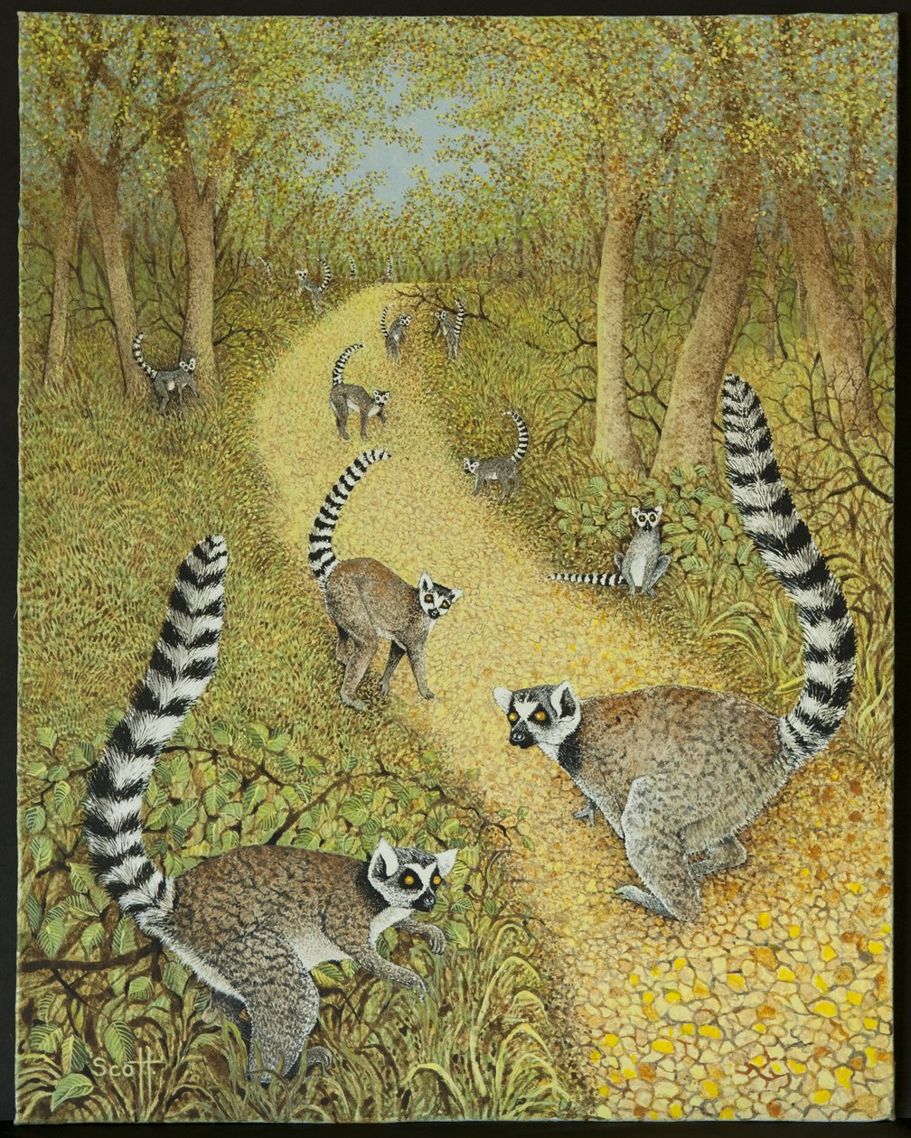 Raconter des histoires - Pat Scott
