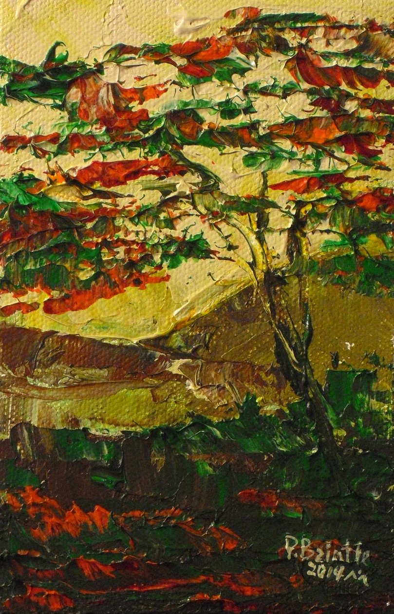 Flamboyant en fleur, 2014 - Patricia Brintle
